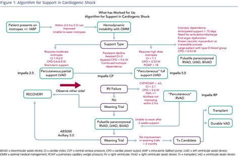 Algorithm For Support In Cardiogenic Shock Radcliffe Cardiology