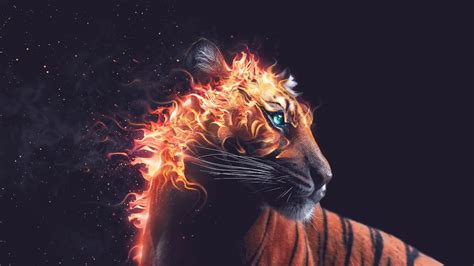 Fantasy Tiger In Flames Fire Mane Live Desktop Wallpaper Live