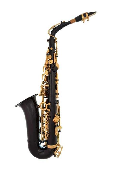 Lazarro Alto Saxophone The Best Beginner Alto Sax In 2019