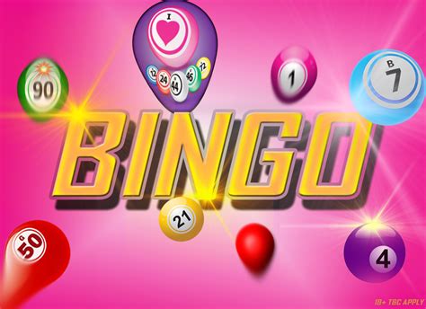 Best New Bingo Sites