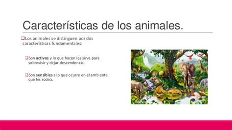 Características Generales Y Clasificación De Los Animales