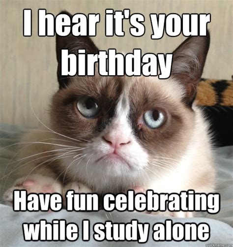 Grumpy Cat Birthday Meme Funny Grumpy Cat Pictures