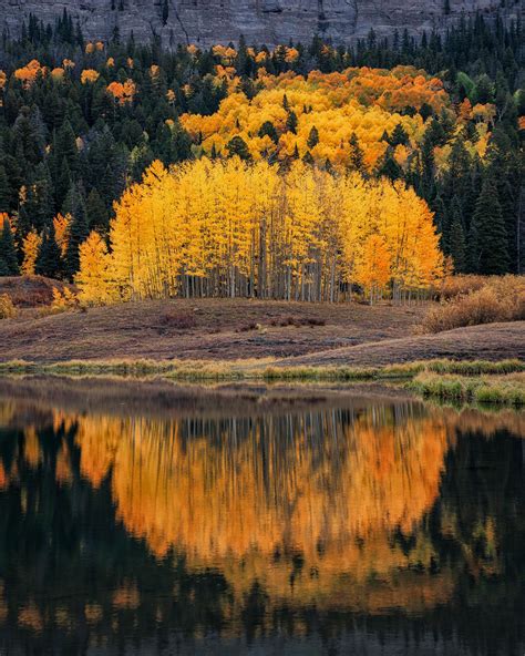 Fall Reflection In The Southwest Colorado Wilderness 1639x2048
