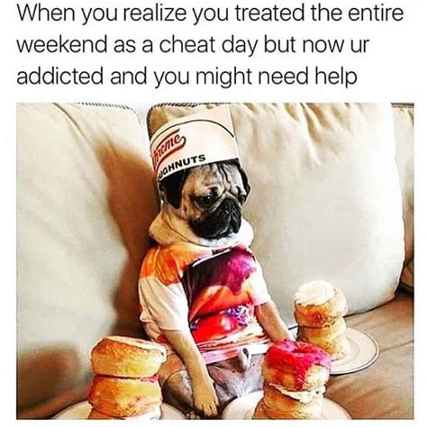 50 Best Pug Memes On The Internet Guaranteed To Lol