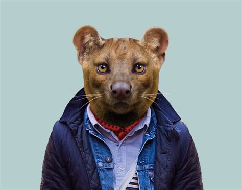 New Humanized Animals By Zoo Portraits Fubiz Media