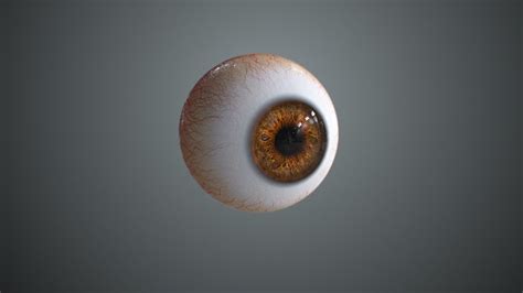 Realistic 3d Eye Model For Arnold Render Youtube