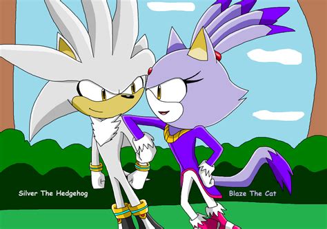 Silver The Hedgehog And Blaze The Cat By Czakyre On Deviantart