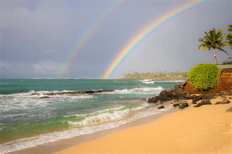 11 Things To Do On Hawaii Big Island When It Rains What To Do When