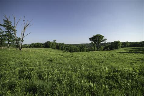 Grassland And Meadow Landscape Image Free Stock Photo Public Domain