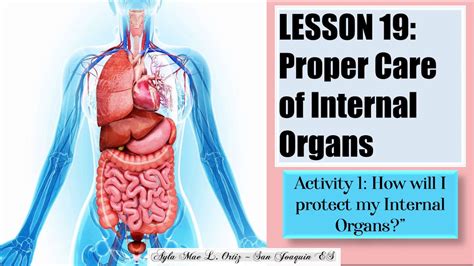 Science Iv I Lesson 19 Proper Care Of Internal Organs Youtube
