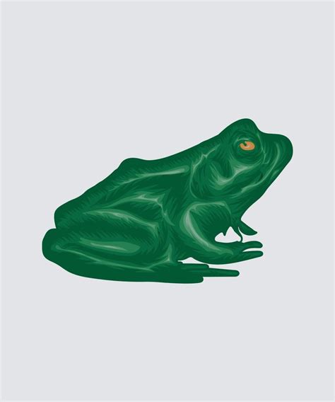 Green Frogs Illustration 18976347 Vector Art At Vecteezy