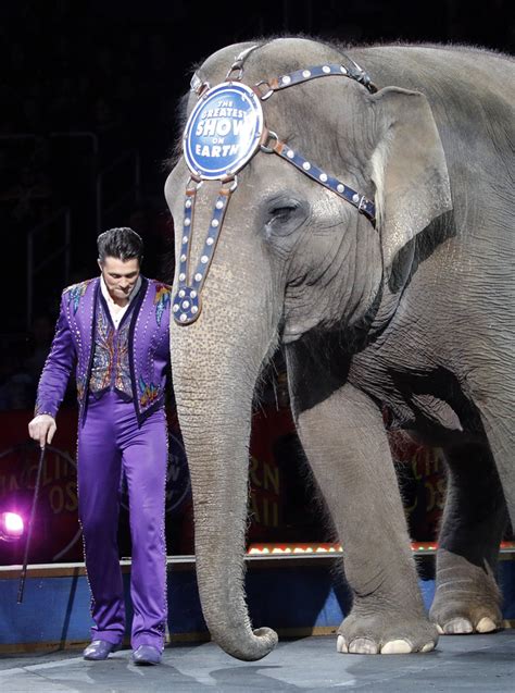 Elephants Perform For Final Time At Ringling Bros Daily Mail Online