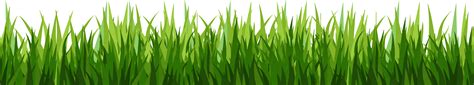 Grass Clipart Clear Background Grass Clear Background Transparent Free