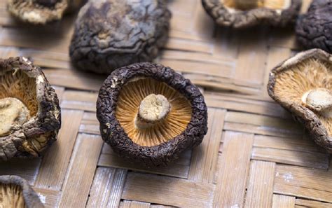 Shiitake Mushroom Benefits 8 Uses For This Superfood