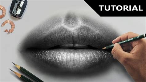 Draw Hyper Realistic Lips Step By Step Easiest Method Youtube