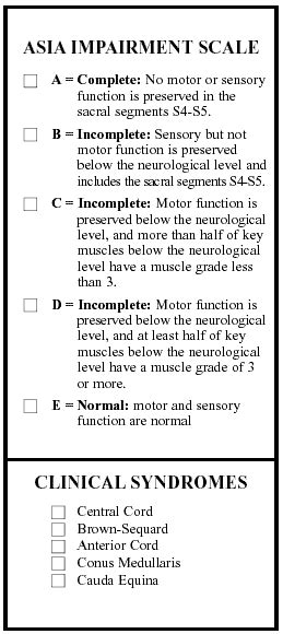 Spinal Cord Injury Levels And Classification Information