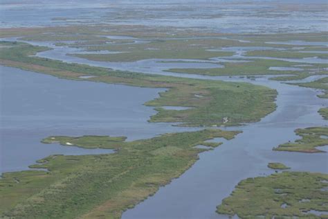 Free Picture Aerial Marsh Swamp Landscape