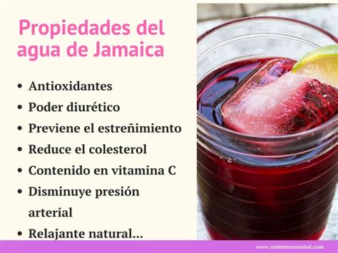 Propiedades Y Beneficios Del Agua De Jamaica Top