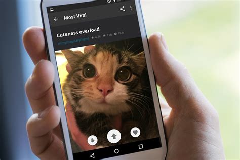 imgur now lets you follow and chat with other meme lovers digital trends