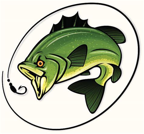 970 Cartoon Of A Bass Fish Stock Illustrations Royalty Free Vector