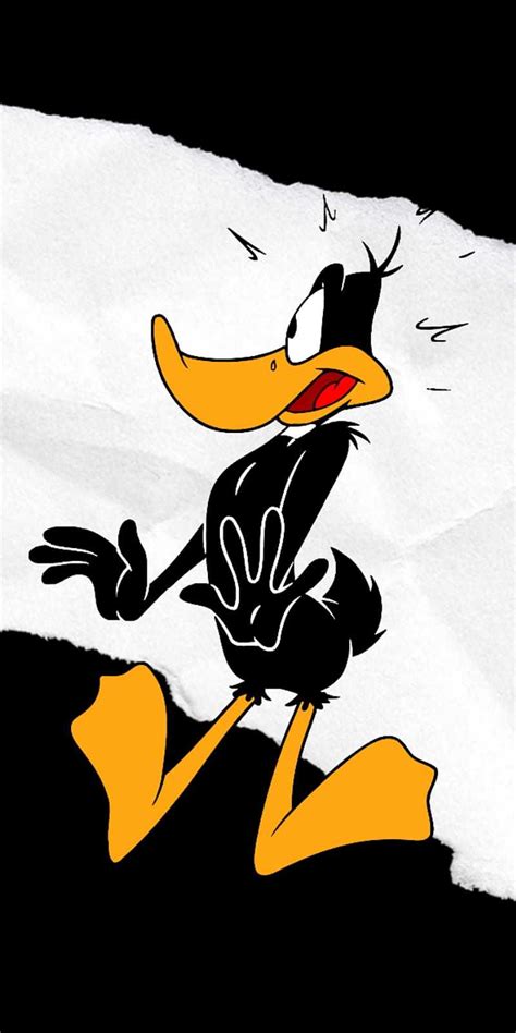 Daffy Duck Wallpaper Ixpaper