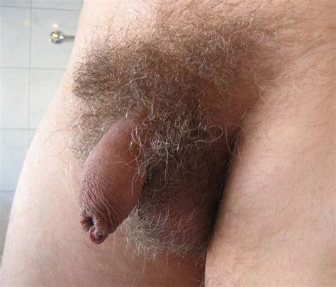 Amateur Hairy Nude Beaches Free Porn