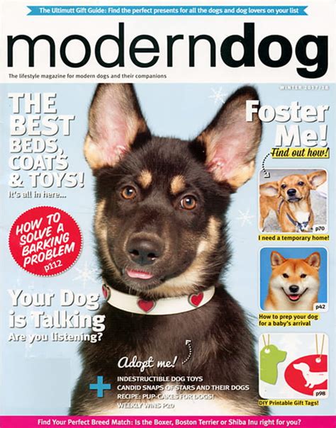 Modern Dog Magazine Modern Dog Magazine Subscription