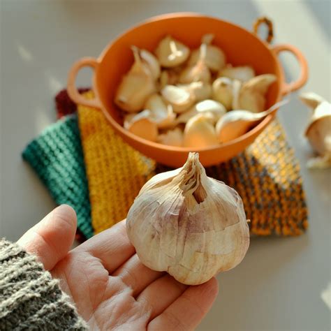 Plant A Garlic Clove In Your Garden Now Planting Garlic Planting Seeds