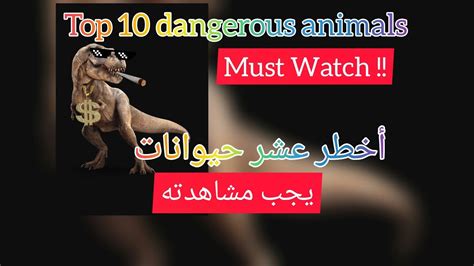 Top 10 Dangerous Animals أكثر عشر حيوانات خطيرة Youtube