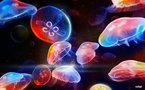 Download Wallpaper For 3840x2160 Resolution Underwater Jellyfishes