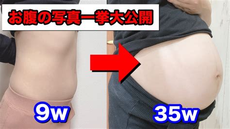 【妊婦のお腹の変化】妊娠初期から現在までのお腹／妊娠ドキュメンタリー Youtube