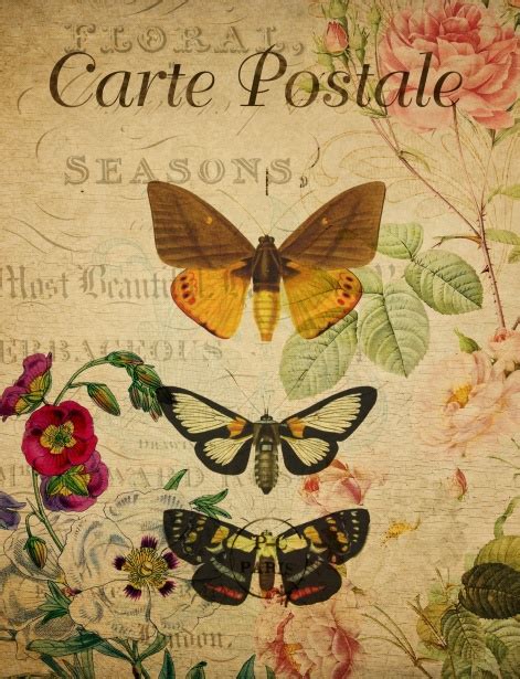Butterflies Vintage Floral Postcard Free Stock Photo Public Domain