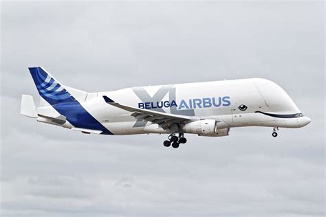 Airbus Beluga Xl Price Specs Photo Gallery History Aero Corner