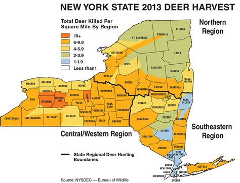 New York Deer Hunting Forecast For 2014 Game And Fish