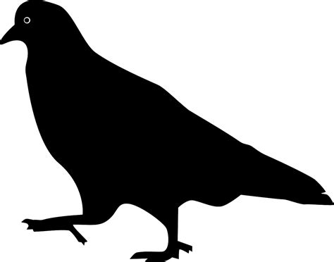 Bird Pigeon Silhouette Stepping Png Picpng