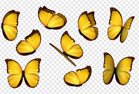 Butterfly Illustrations Royalty Free Vector Graphics And Clip Art Istock