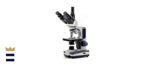 Compound Microscope Vs Stereo Microscope