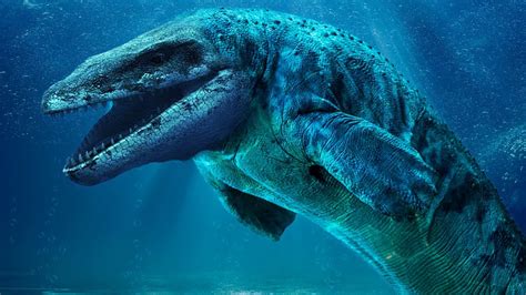 Real Prehistoric Sea Monsters