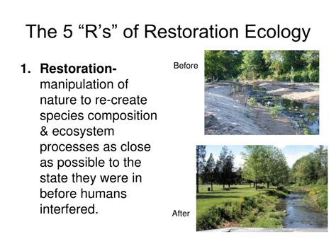 Ppt Aquatic Ecosystems Landscape Ecology Restoration Ecology
