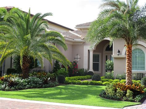 Front Yard Landscaping Ideas With Palm Trees Image To U