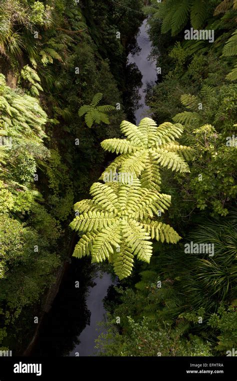 Tributary And River High Resolution Stock Photography And Images Alamy