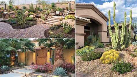 Top 40 Amazing Front Yard Desert Landscape Ideas For Your Home Youtube