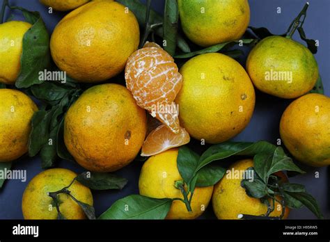 Mandarin Fruit Isolate Black Stock Photo Alamy