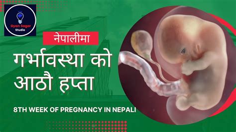 Th Week Pregnancy Week By Week In Nepali