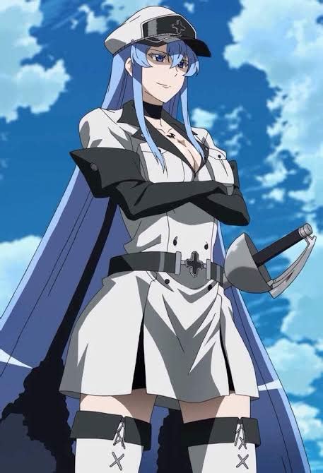 I Hate Esdeath Not Because She Is Popular Or The Best Waifu Amongst All