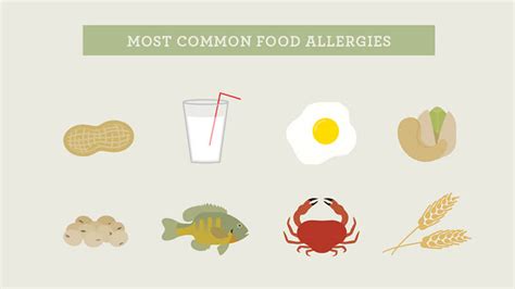 Food Allergies Fact Sheet Infographic Northwestern Medicine