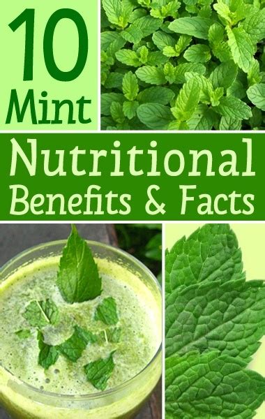 10 Health Benefits Of Mint Leaves Mint Nutritional Benefits