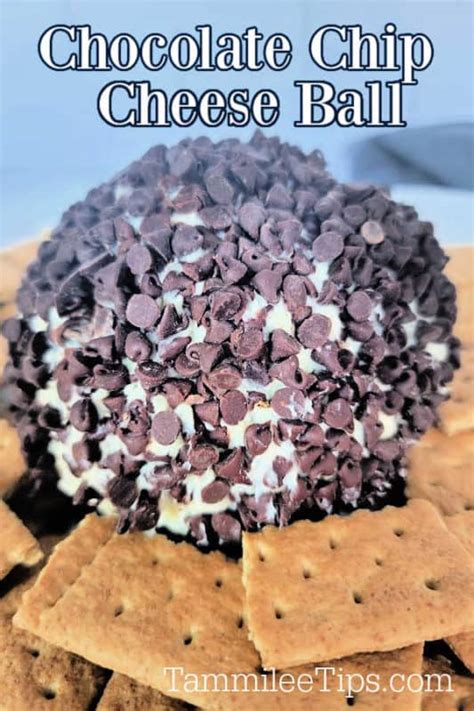 Chocolate Chip Cheese Ball Recipe Make Ahead Tammilee Tips