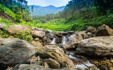 Rocks Stones Forest Jungle Stream Hd Wallpaper Nature And Landscape