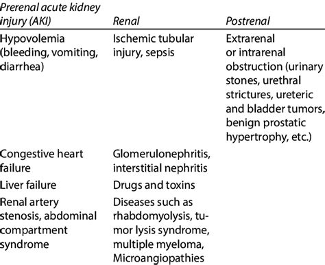 Etiology Of Acute Kidney Injury Aki Download Scientific Diagram